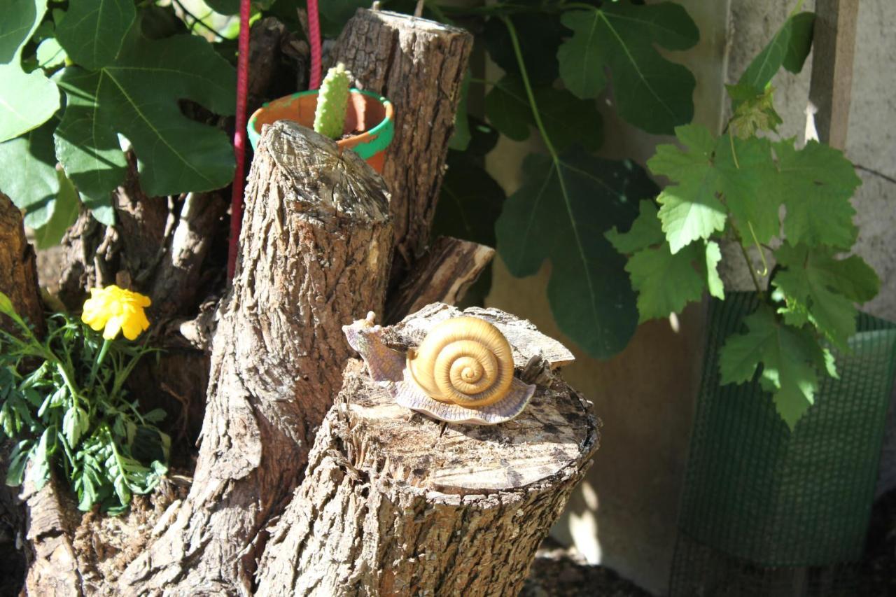 Gite Le Cep D'Or Alsace Saint-Hippolyte  Eksteriør bilde